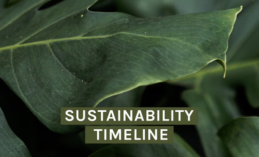 Our Sustainability Timeline - INT PURELEI