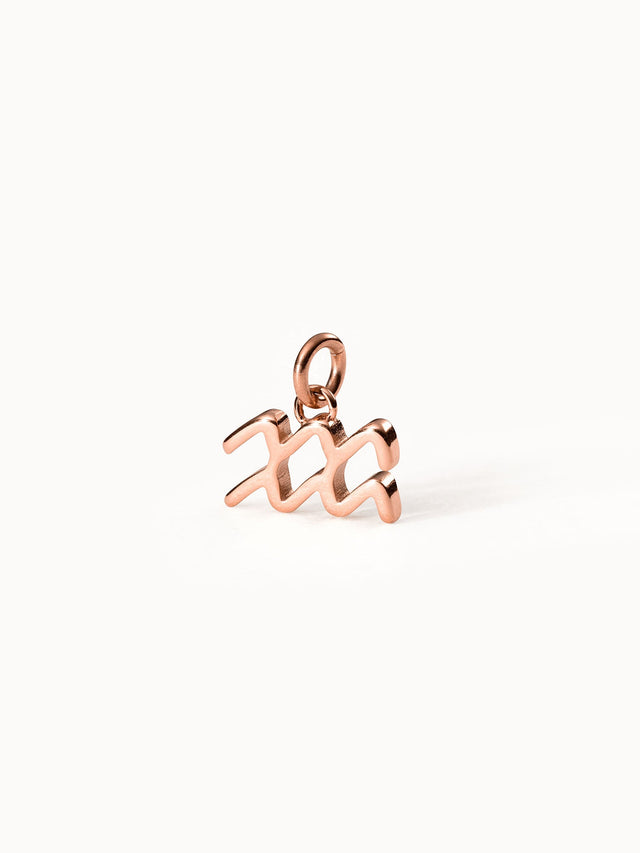 Aquarius Zodiac Charm