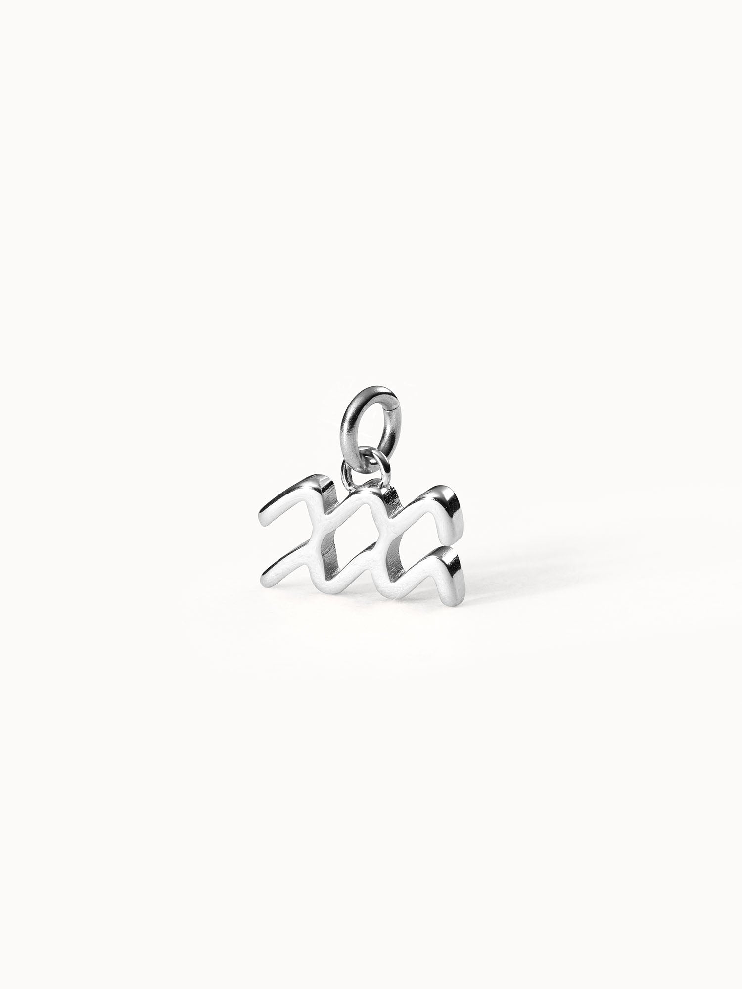 Aquarius Zodiac Charm