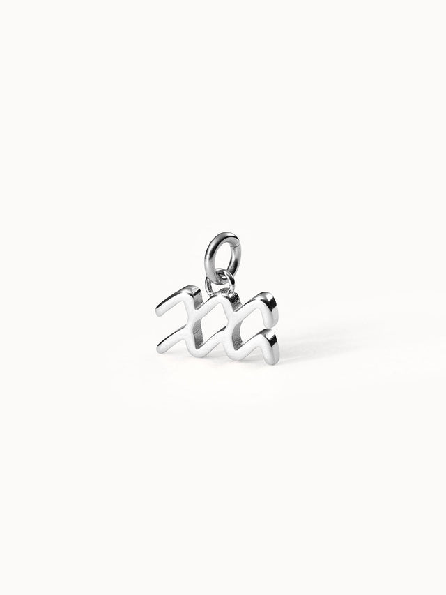Aquarius Zodiac Charm