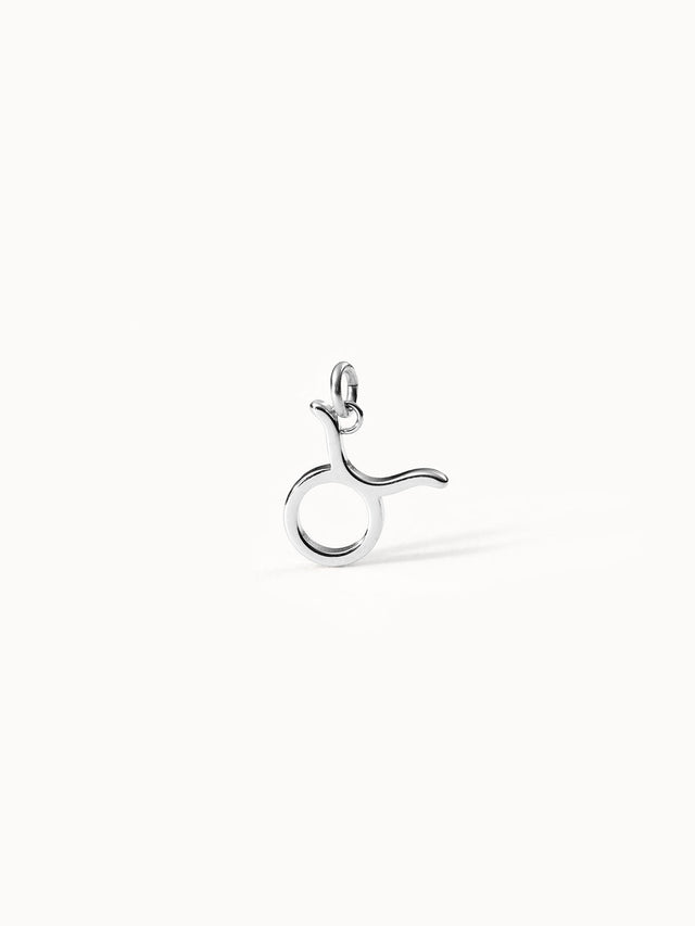 Taurus Zodiac Charm