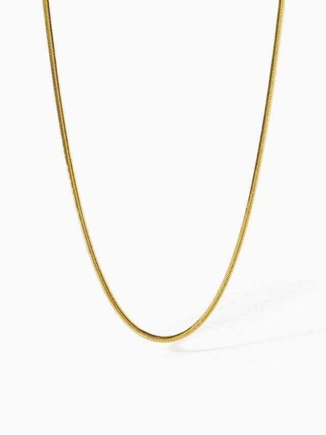 Sleeky Necklace