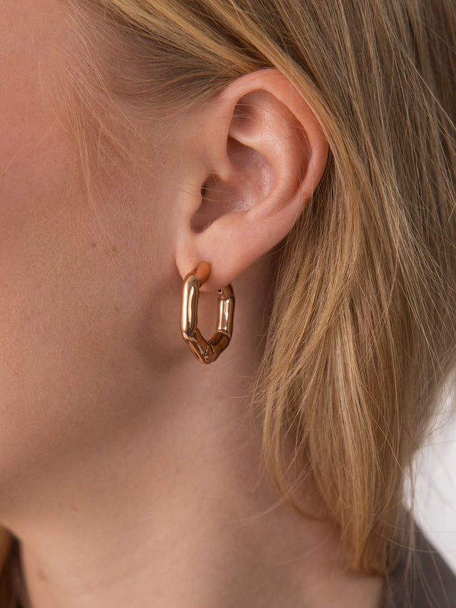 Hexagon Earrings