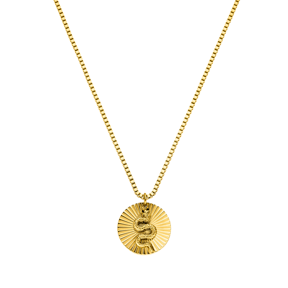 Collana di monete di serpente