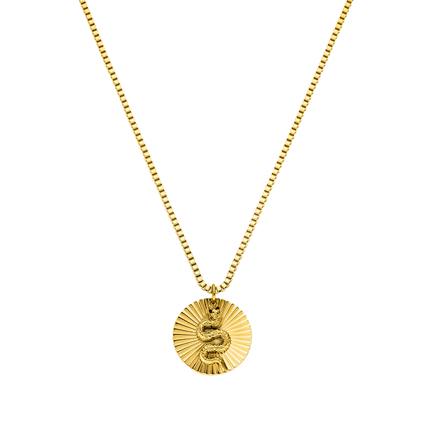 Collana di monete di serpente