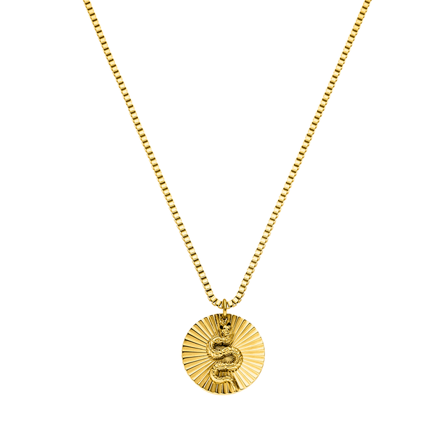 Collana di monete di serpente