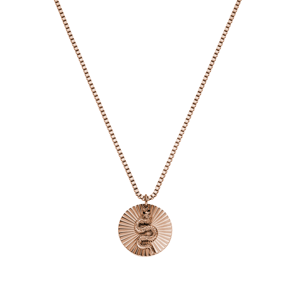 Collana di monete di serpente