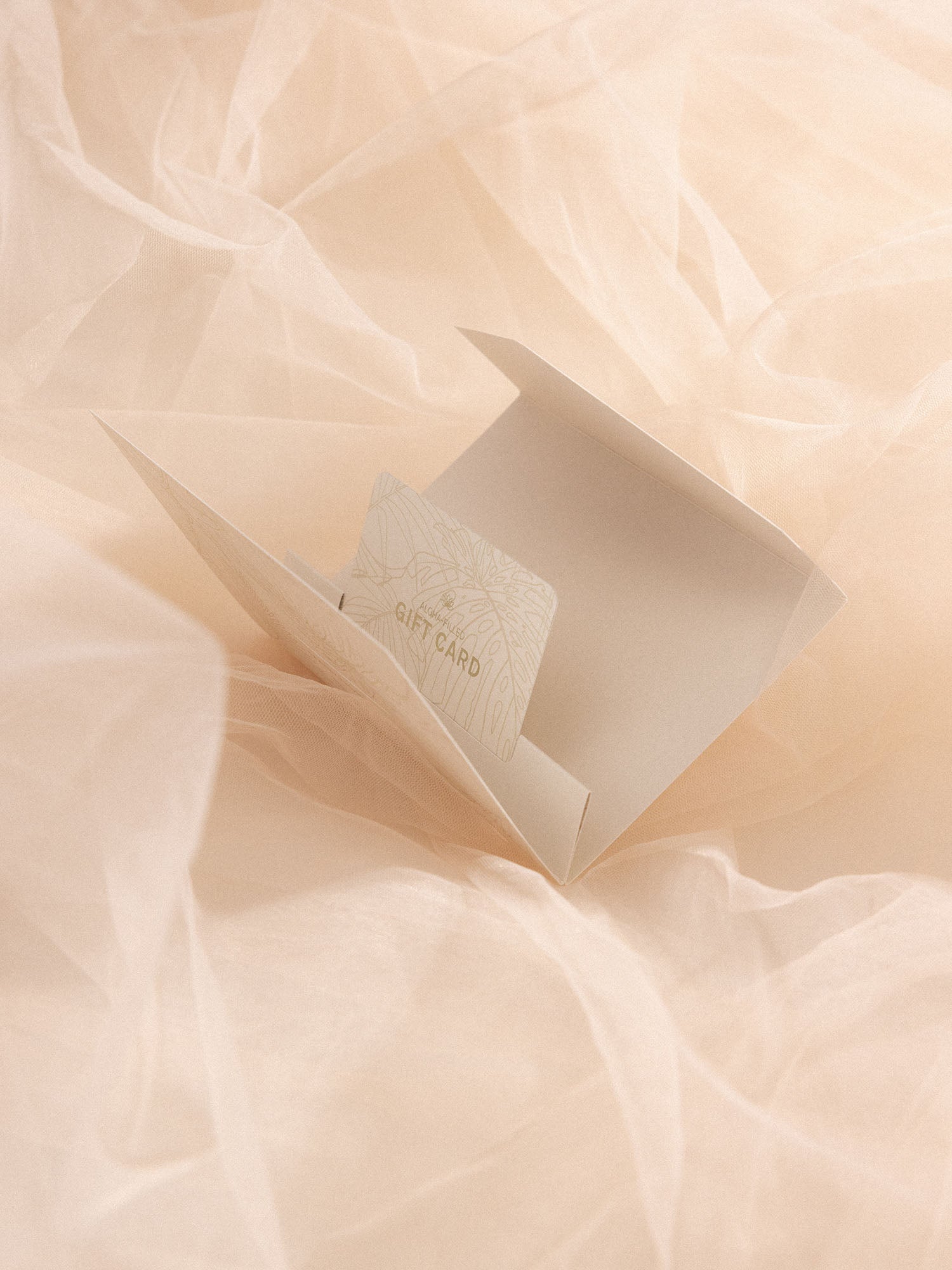 Voucher In Gift Box