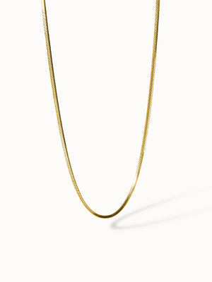 {"color":"Gold", "type":"lead_image"}
