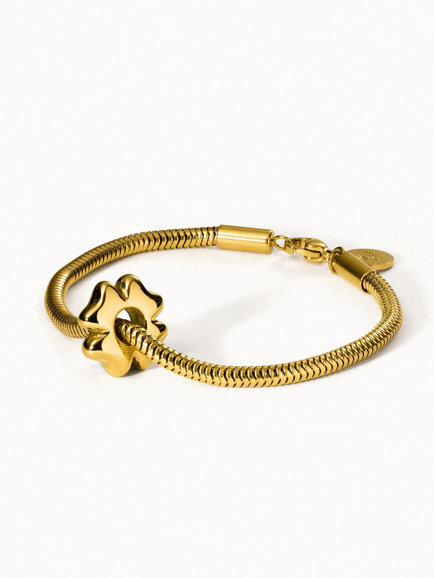 Lucky Charm Bracelet