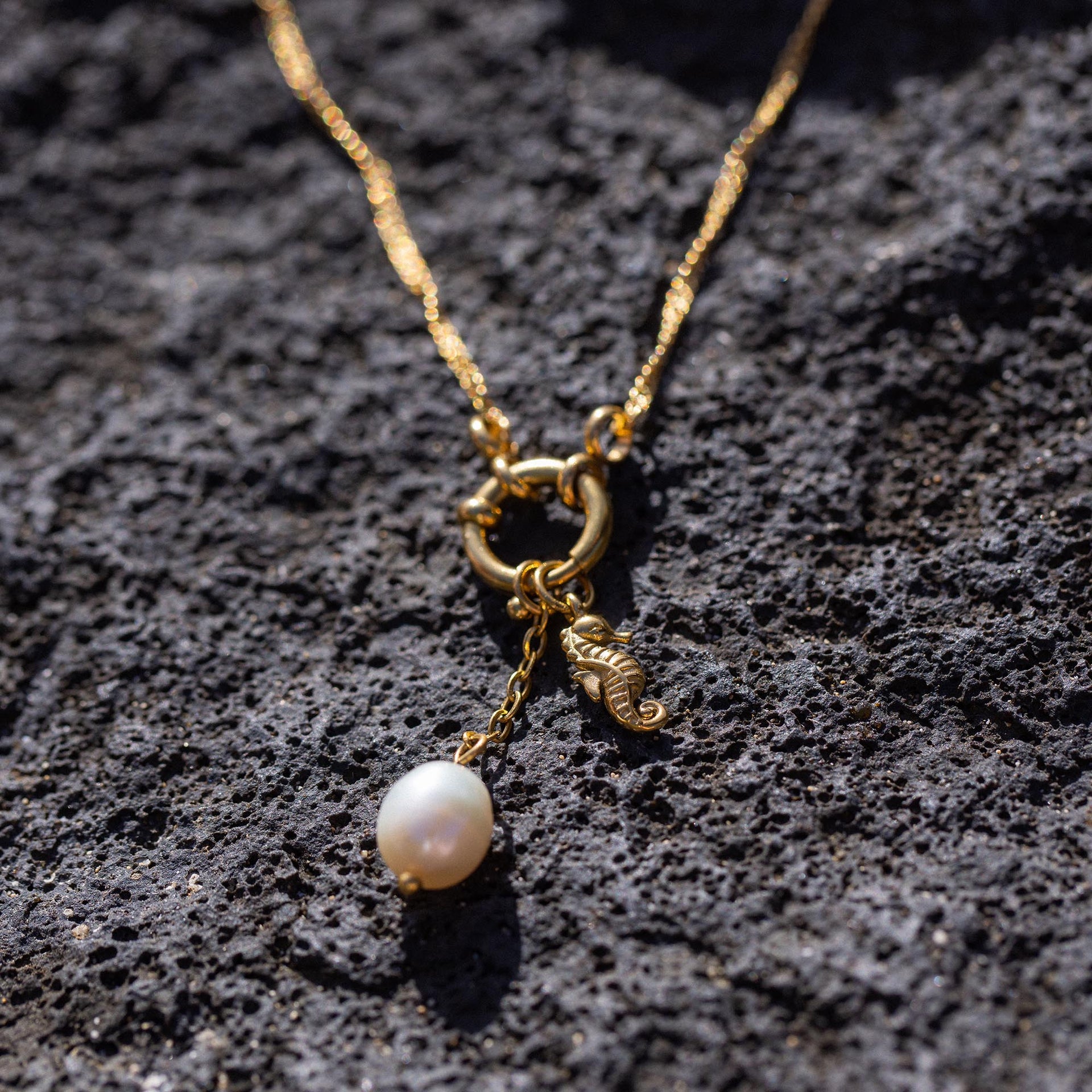 Seahorse Charm