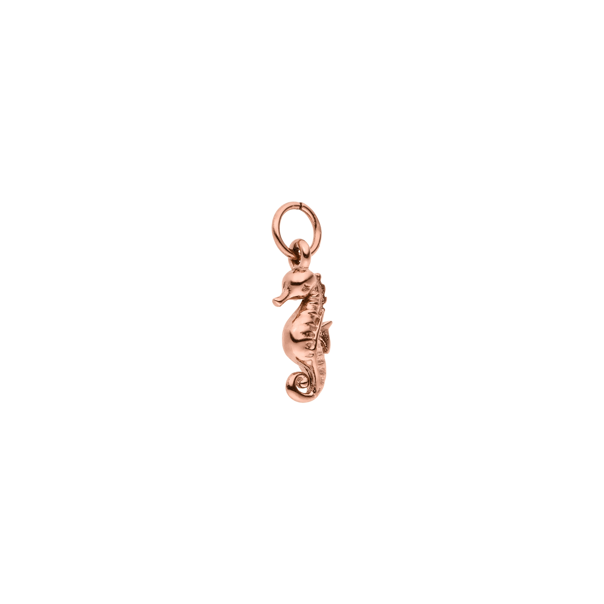 Seahorse Charm