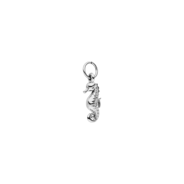 Seahorse Charm