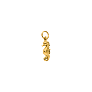 Seahorse Charm
