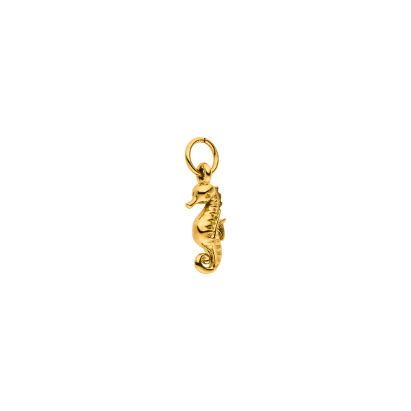 Seahorse Charm