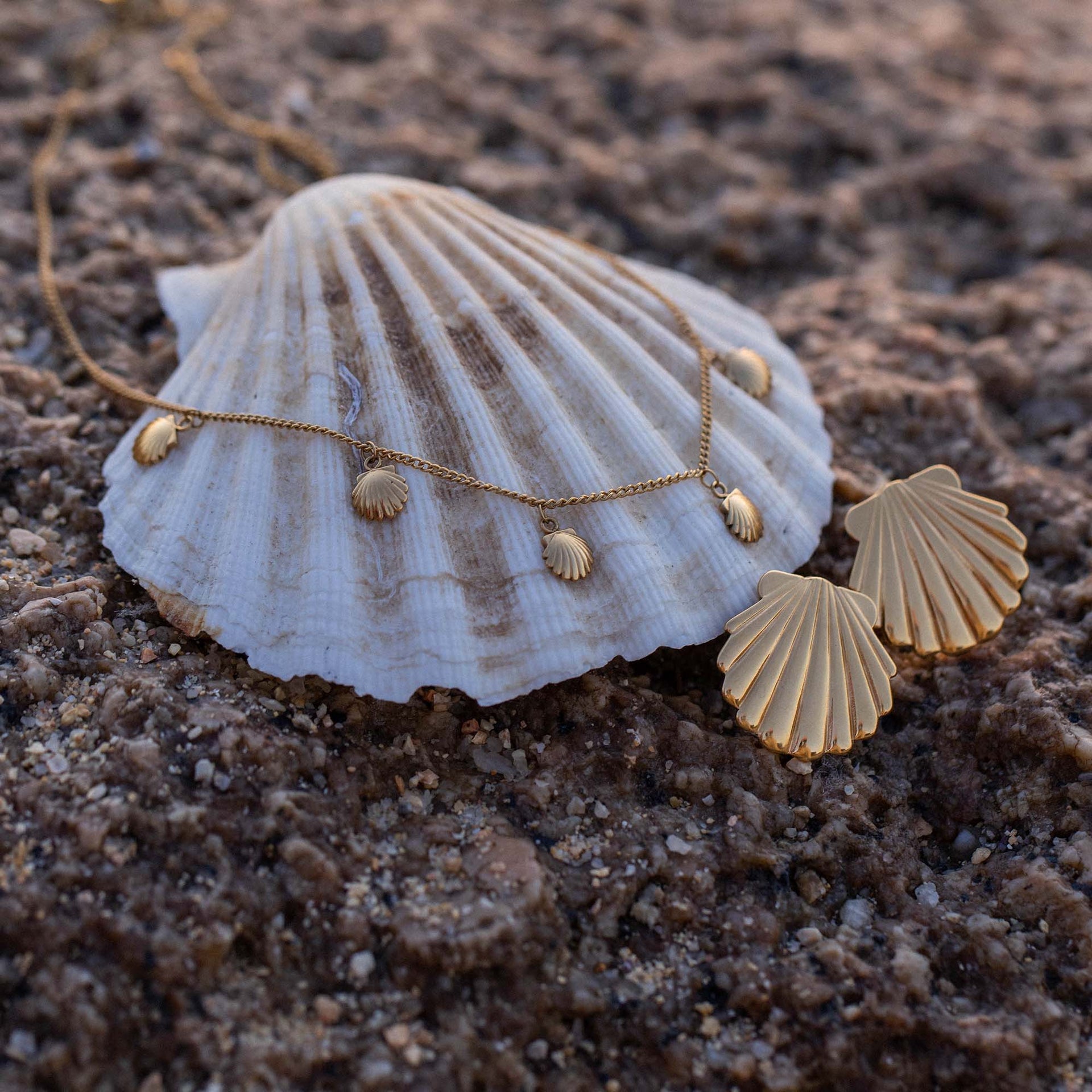 Kalea Shell Necklace