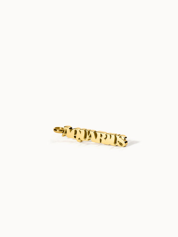 Charm a forma di lettera Aquarius