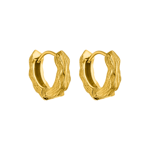 Orecchini spazzolato