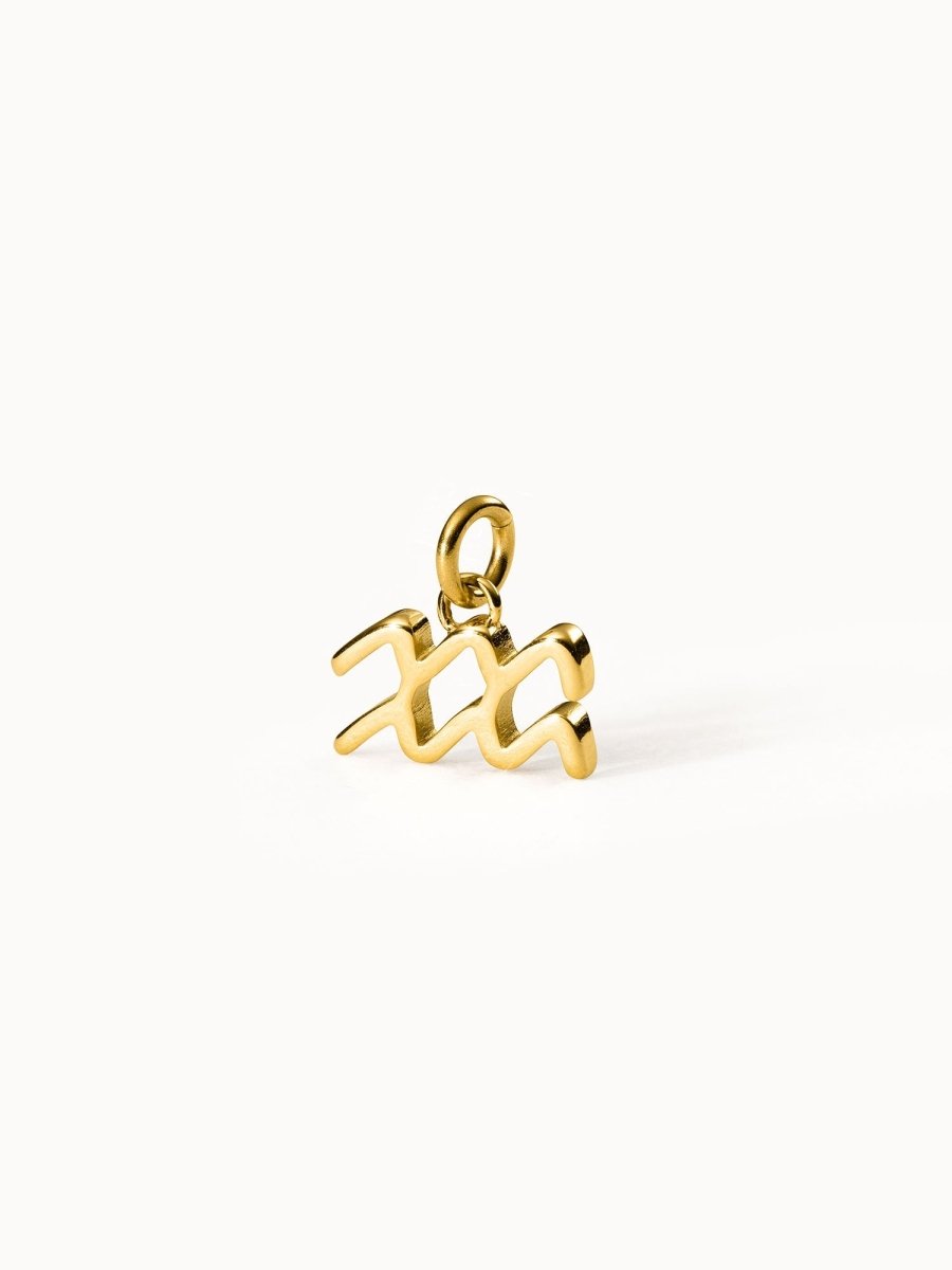 Aquarius Zodiac Charm - INT PURELEI