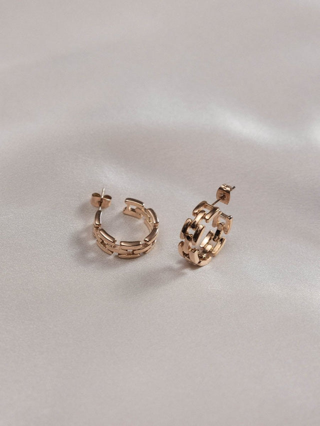 Bright Jewelry Box Earrings - INT PURELEI