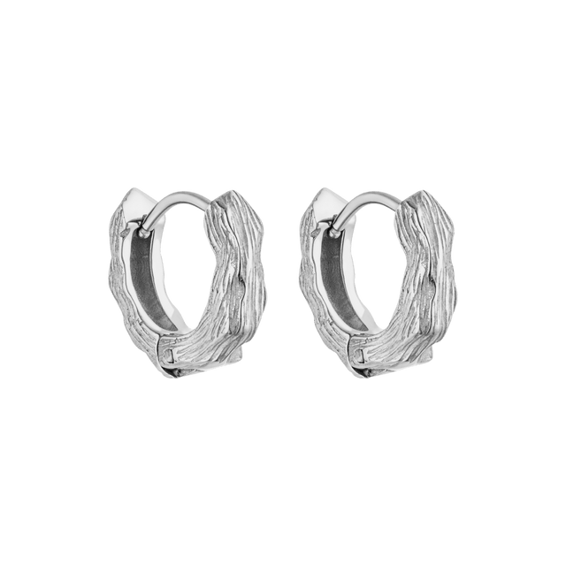 Brushed Earrings - INT PURELEI