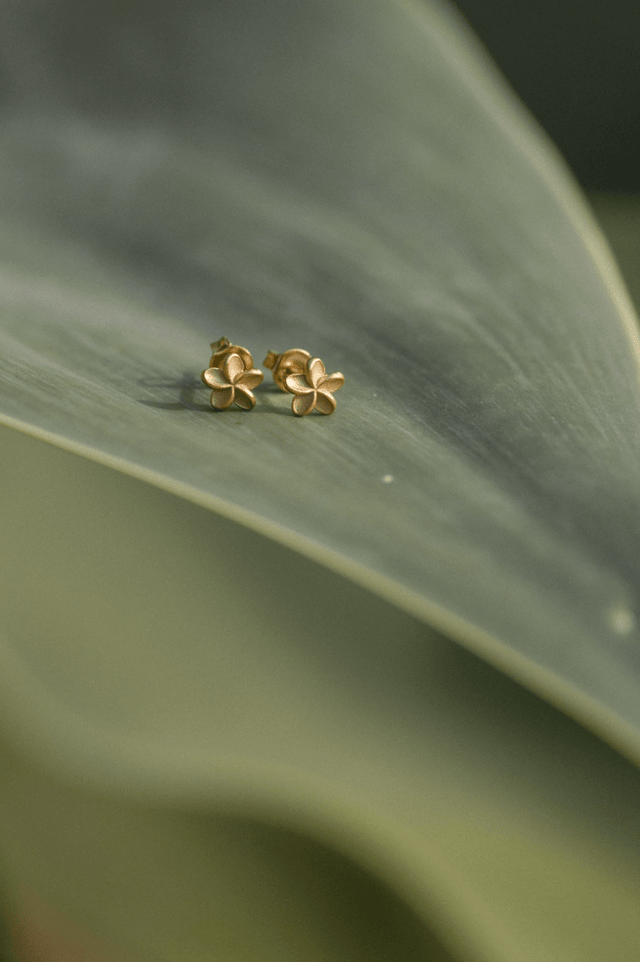 Empowerment Earrings - INT PURELEI