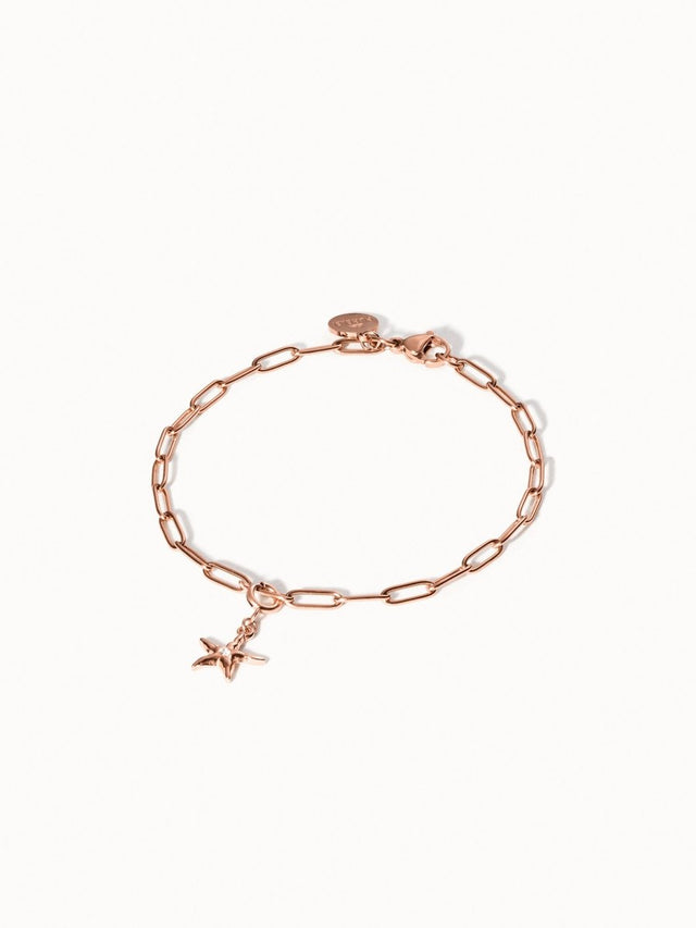 Flex Seastar Charm - INT PURELEI