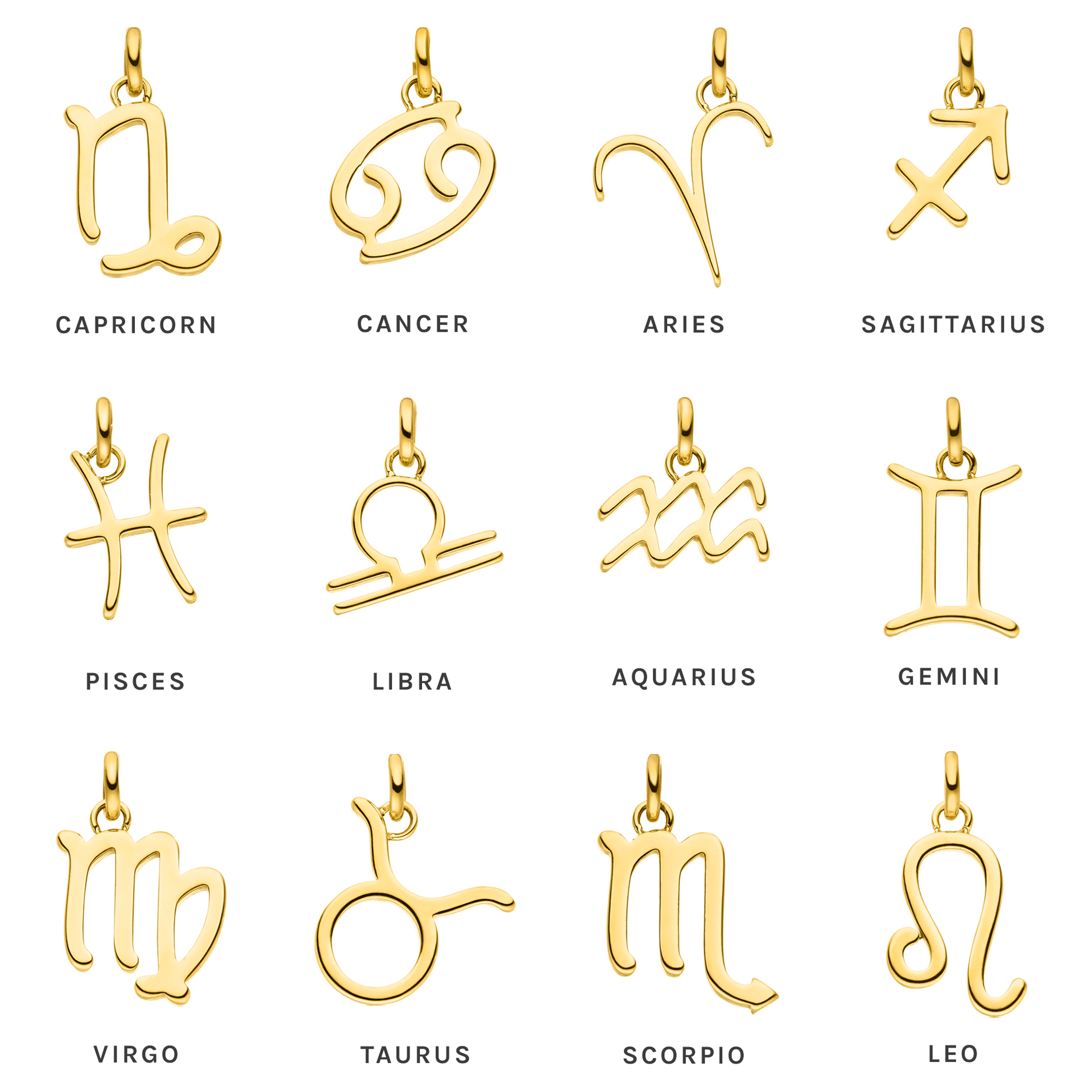 Aquarius Zodiac Charm