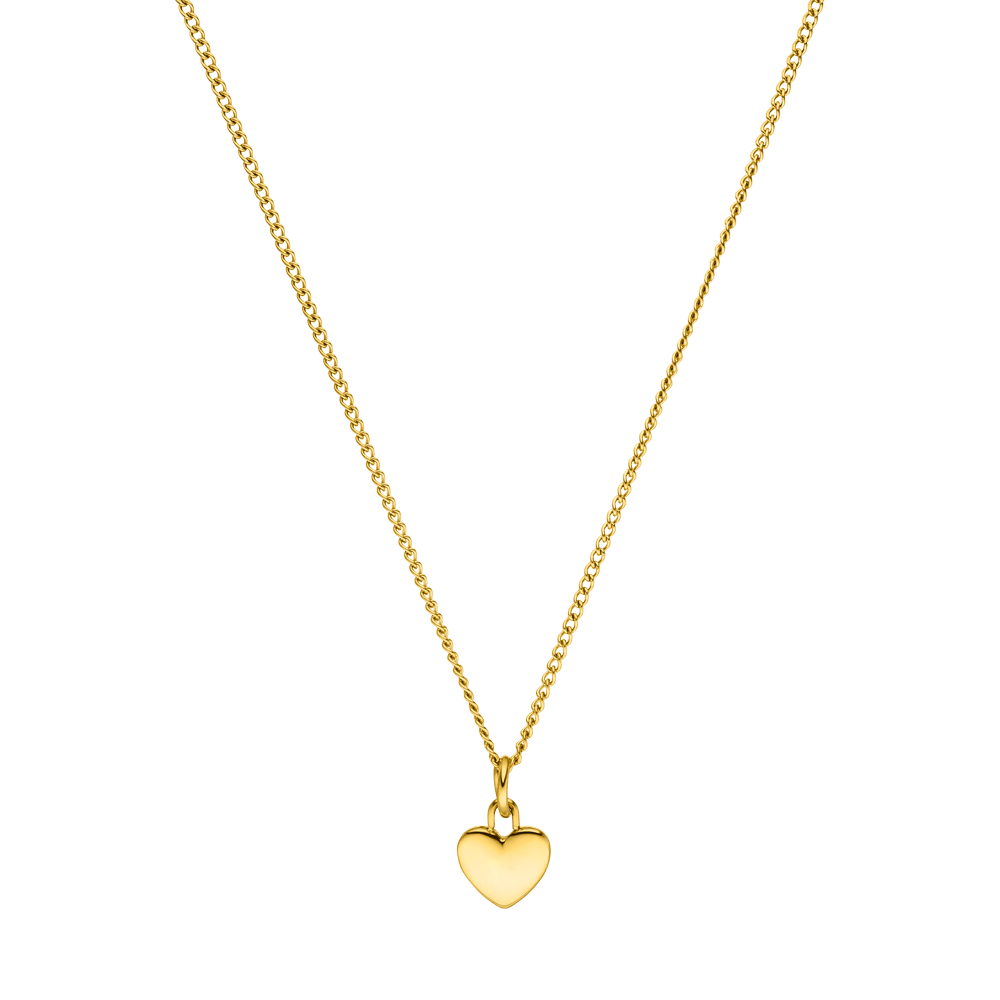 Heart Charm Necklace - INT PURELEI