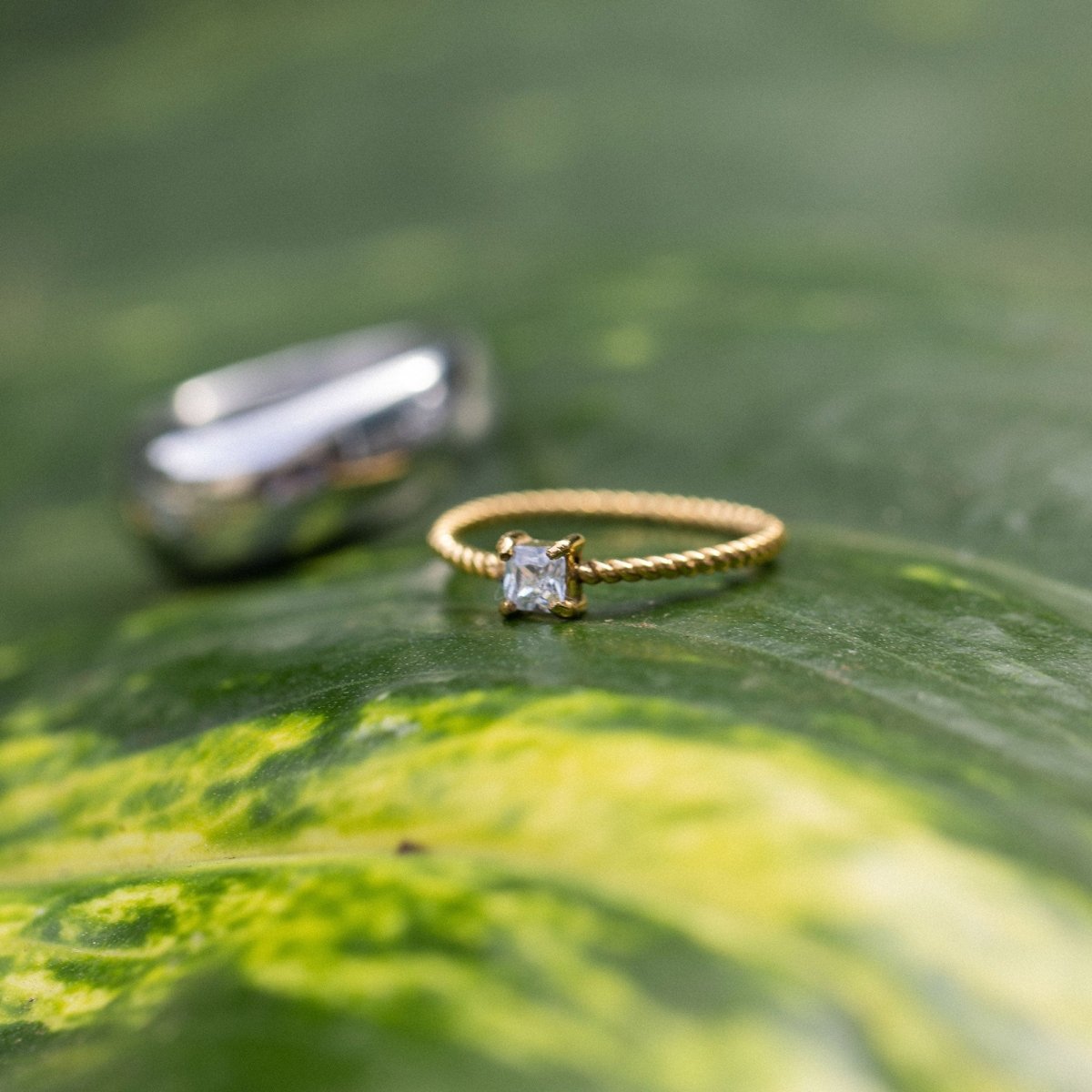 Precious Fine Ring - INT PURELEI