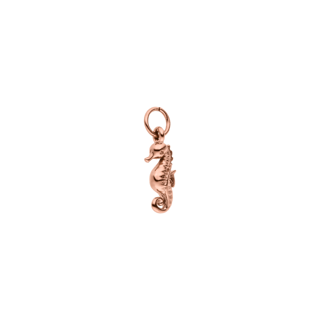 Seahorse Charm - INT PURELEI