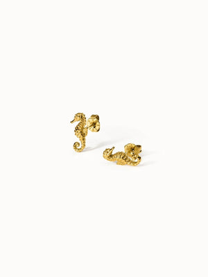 Seahorse Earring - INT PURELEI