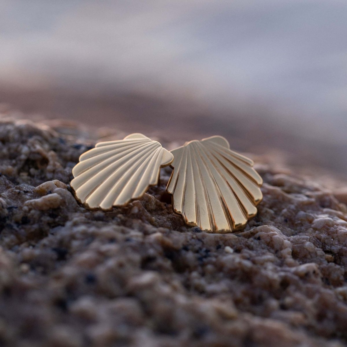 Shell Earring - INT PURELEI
