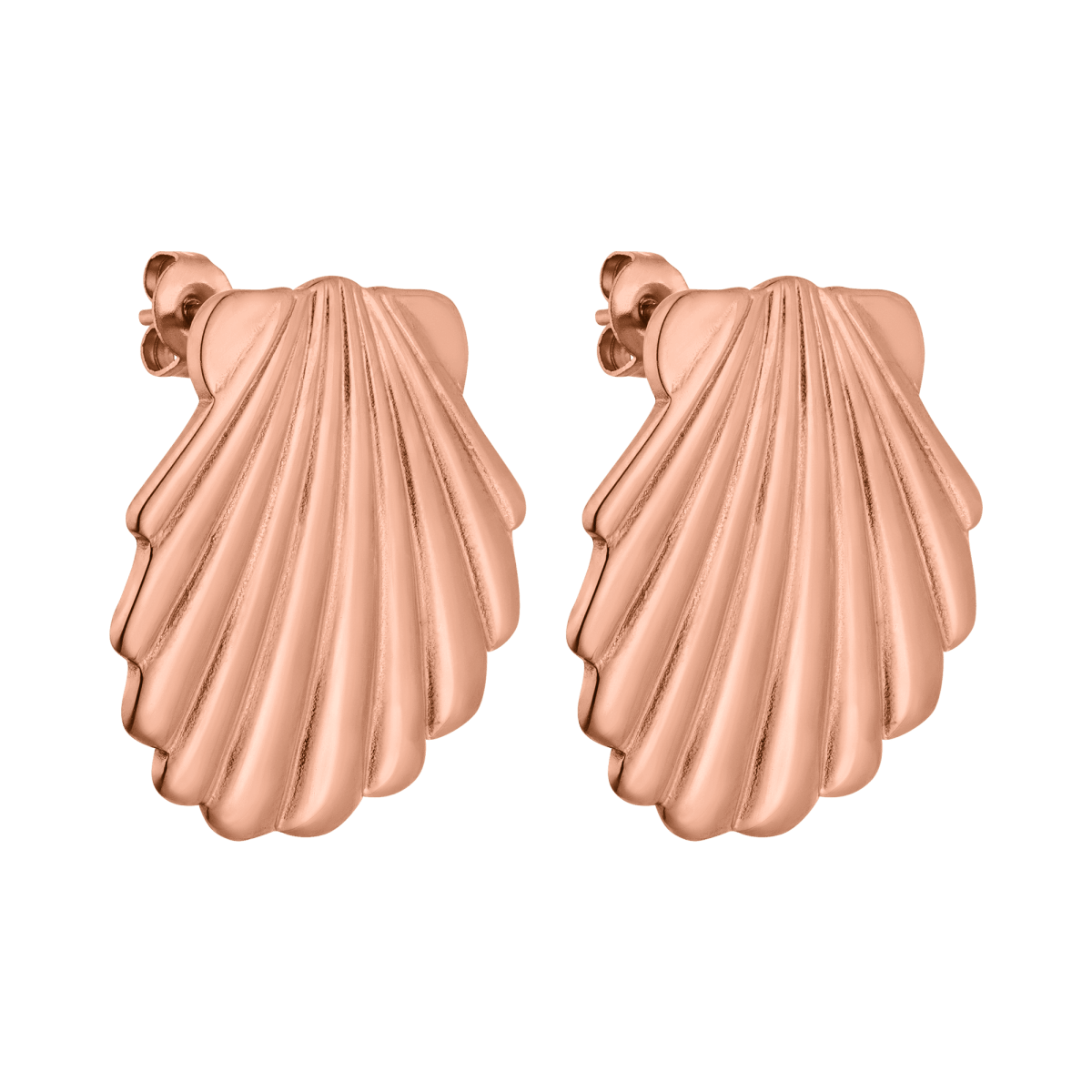 Shell Earring - INT PURELEI