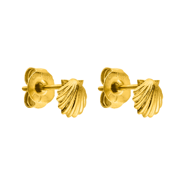 Shell Kids Earring